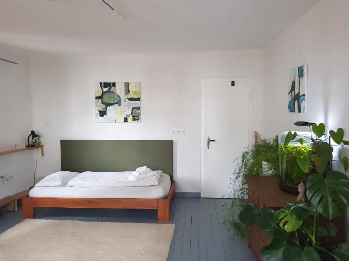 Aeltestes Haus In Quentel - Ferienwohnung 2 Mit Dachterrasse Hessisch Lichtenau Luaran gambar