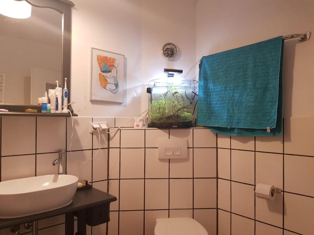 Aeltestes Haus In Quentel - Ferienwohnung 2 Mit Dachterrasse Hessisch Lichtenau Luaran gambar