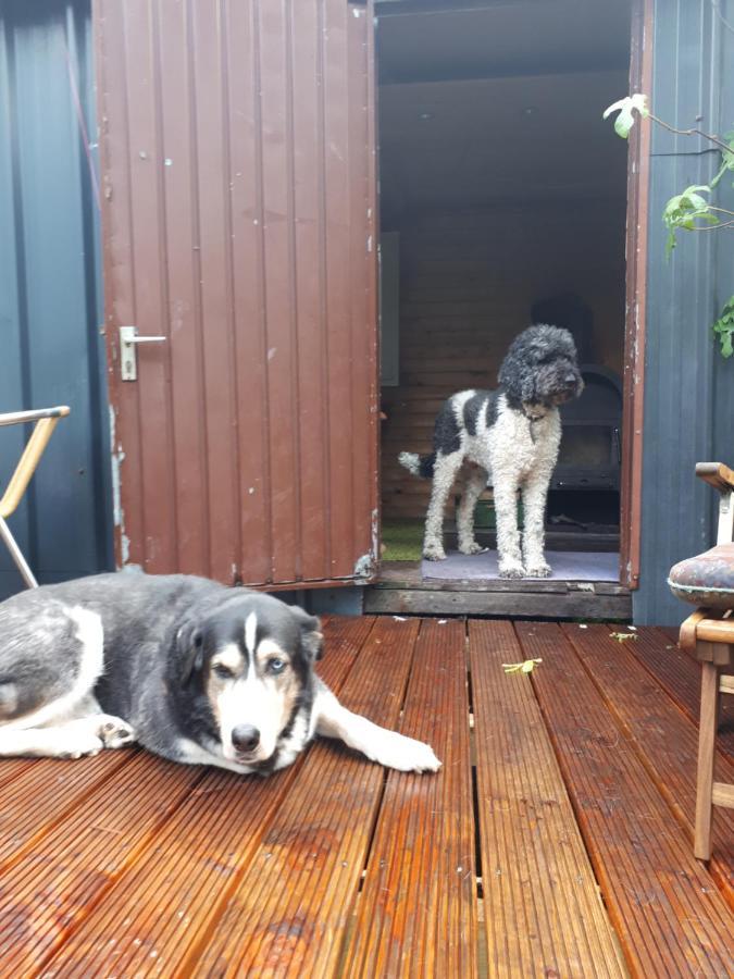 Aeltestes Haus In Quentel - Ferienwohnung 2 Mit Dachterrasse Hessisch Lichtenau Luaran gambar